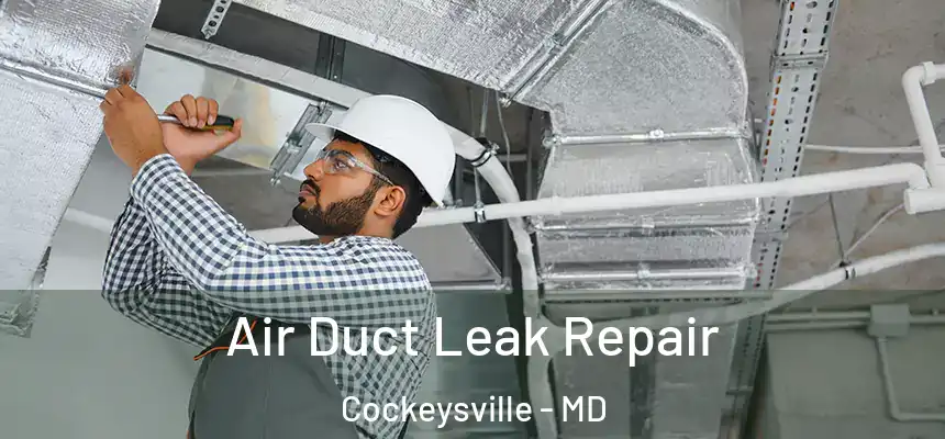  Air Duct Leak Repair Cockeysville - MD