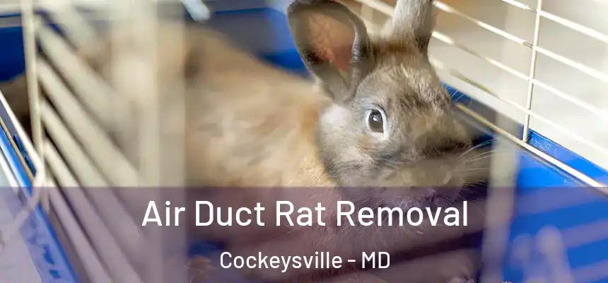  Air Duct Rat Removal Cockeysville - MD