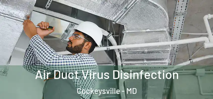  Air Duct Virus Disinfection Cockeysville - MD