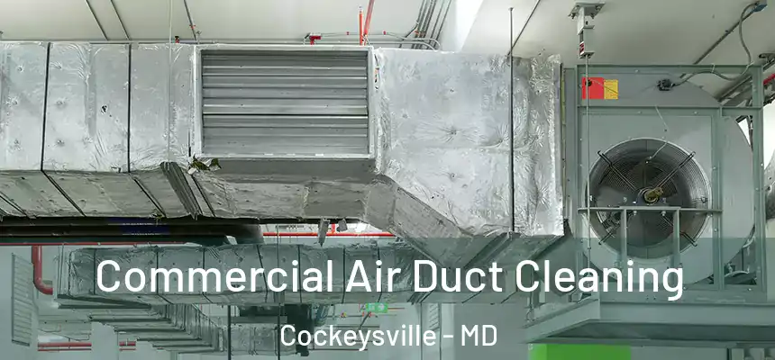  Commercial Air Duct Cleaning Cockeysville - MD