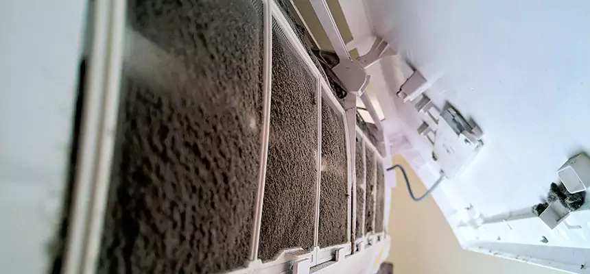 Preventive Air Duct Bacteria Removal in Cockeysville