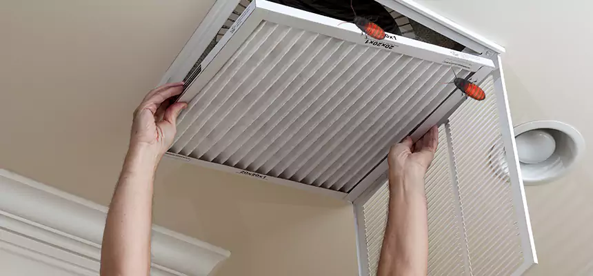 Preventive Cockroach-Proofing for Ducts in Cockeysville
