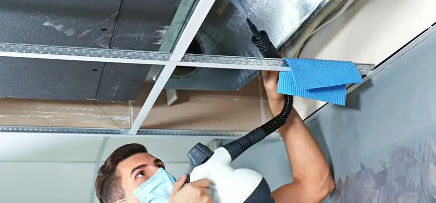 Our Air Duct Rodent Removal Services in Cockeysville, MD