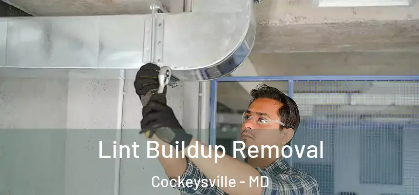 Lint Buildup Removal Cockeysville - MD
