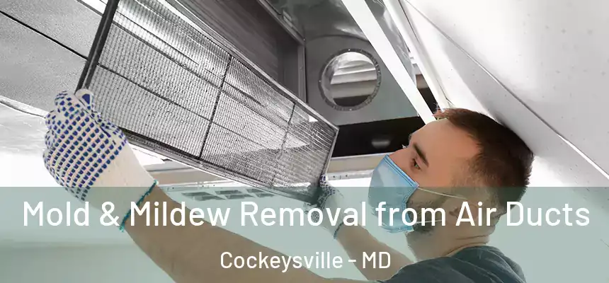  Mold & Mildew Removal from Air Ducts Cockeysville - MD