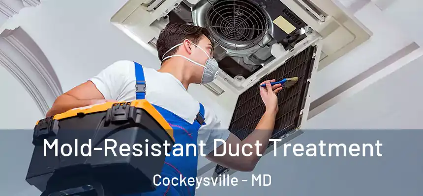  Mold-Resistant Duct Treatment Cockeysville - MD