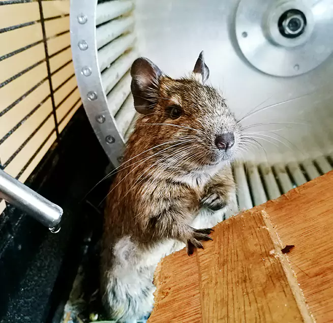 Why Homeowners & Businesses Trust Us Cockeysville, MD