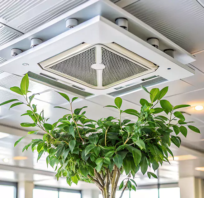 Why Homeowners & Businesses Trust Us in Cockeysville, MD?