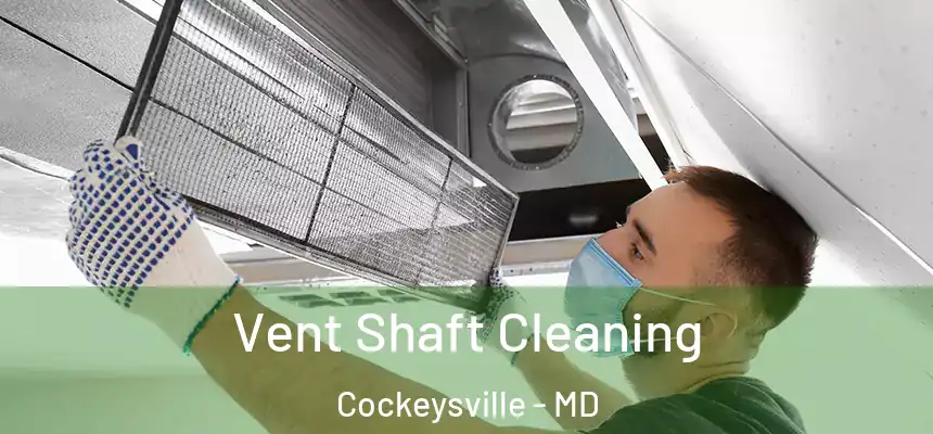 Vent Shaft Cleaning Cockeysville - MD